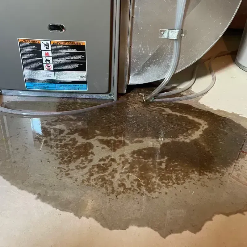 Appliance Leak Cleanup in Saint James, MO